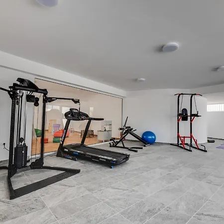 Carisa Elysium ラルナカ